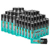 AAA Alkaline Batteries (66-Pack), 1.5V Triple A Batteries - Power Flash